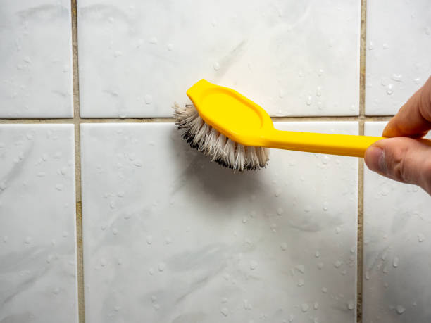Best Mold Removal Company Near Me  in Winona, MS