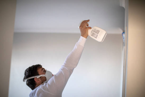 Best Mold Removal Process  in Winona, MS