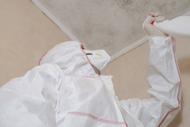 Best Certified Mold Removal  in Winona, MS