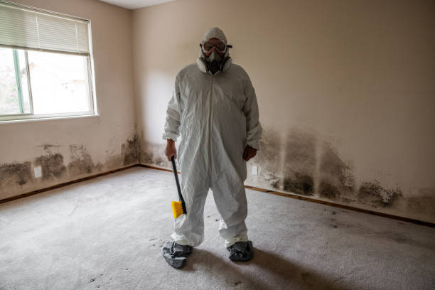 Best Mold Damage Repair  in Winona, MS
