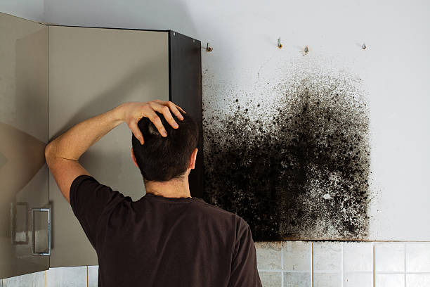 Best Crawl Space Mold Removal  in Winona, MS